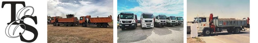 Logo TRANSPORTES E.SAEZ